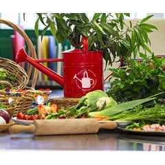 Solid Masterclass top tips to master cooking