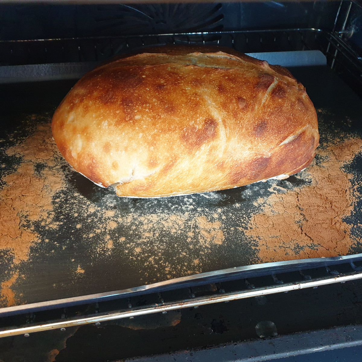 A freshly baked sourdough bread loaf resting on a dark baking tray with scattered cinnamon inside an oven.